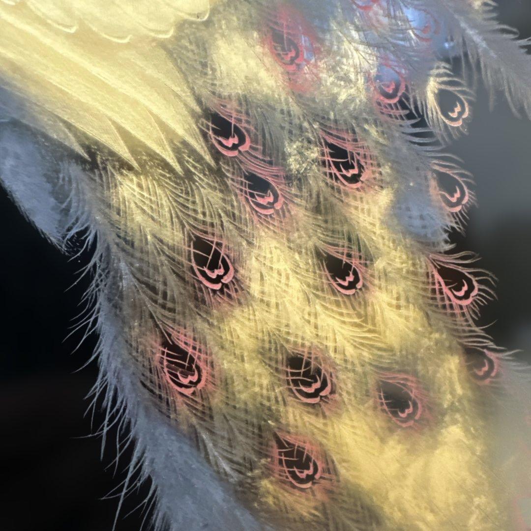 漆芸 孔雀デザイン作品　輪島塗　アンティーク　骨董品　希少価値　額縁期間限定値引