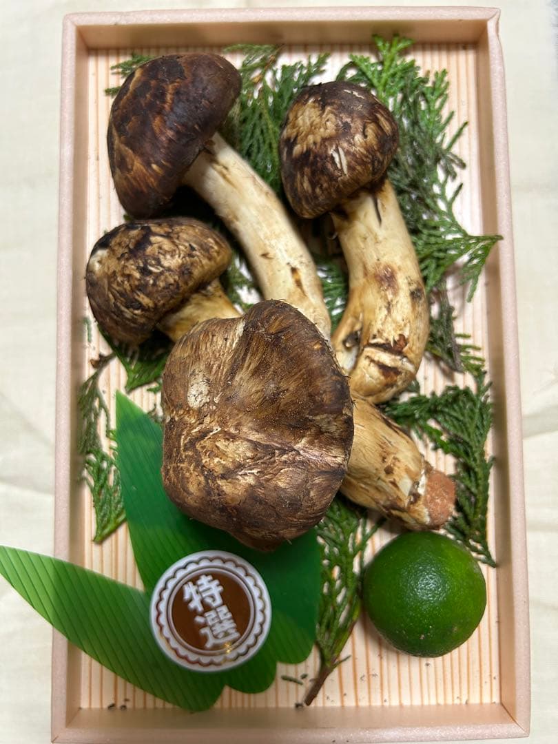 長野産特選 ❗️松茸３本プラス１本おまけ〜173.5g ❗️すだち付き　クール宅急便