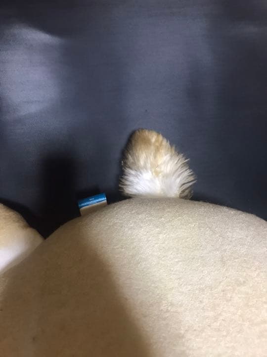 マリーちゃん BIGぬいぐるみ