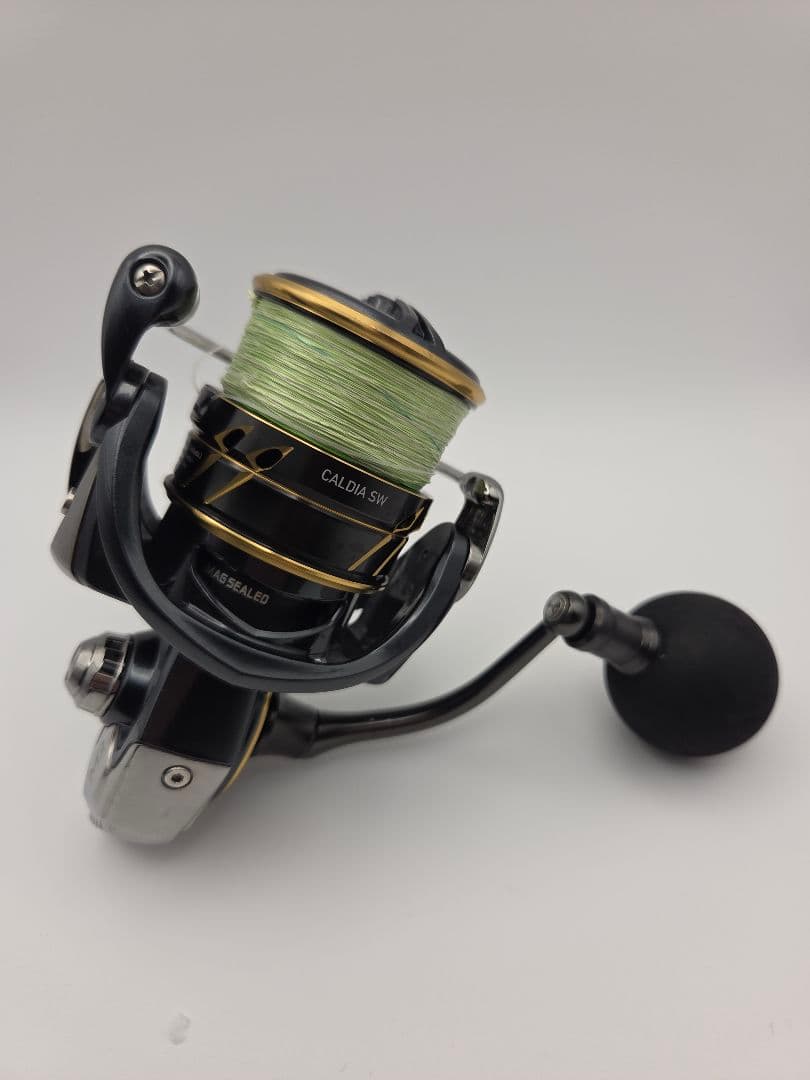 リール DAIWA CALDIA SW 4000D-CXH