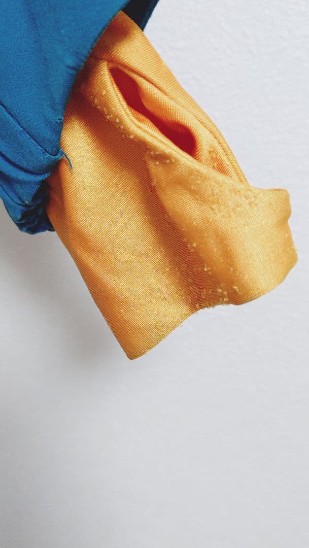 DESCENTE グリーン/ブルー スキーウェア/パンツセット ユニセックス S