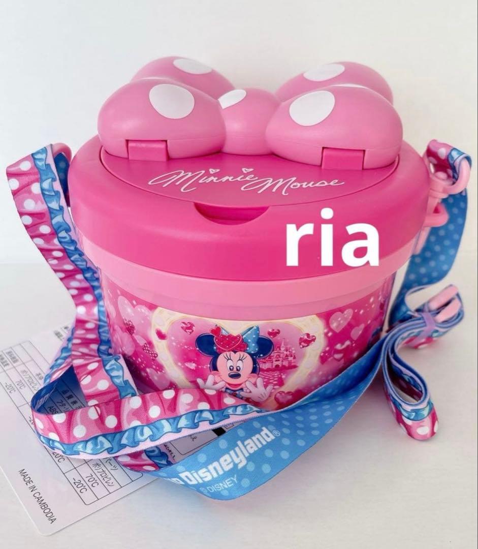 ディズニーランド　ミニー パルパルーザ ポップコーンケース