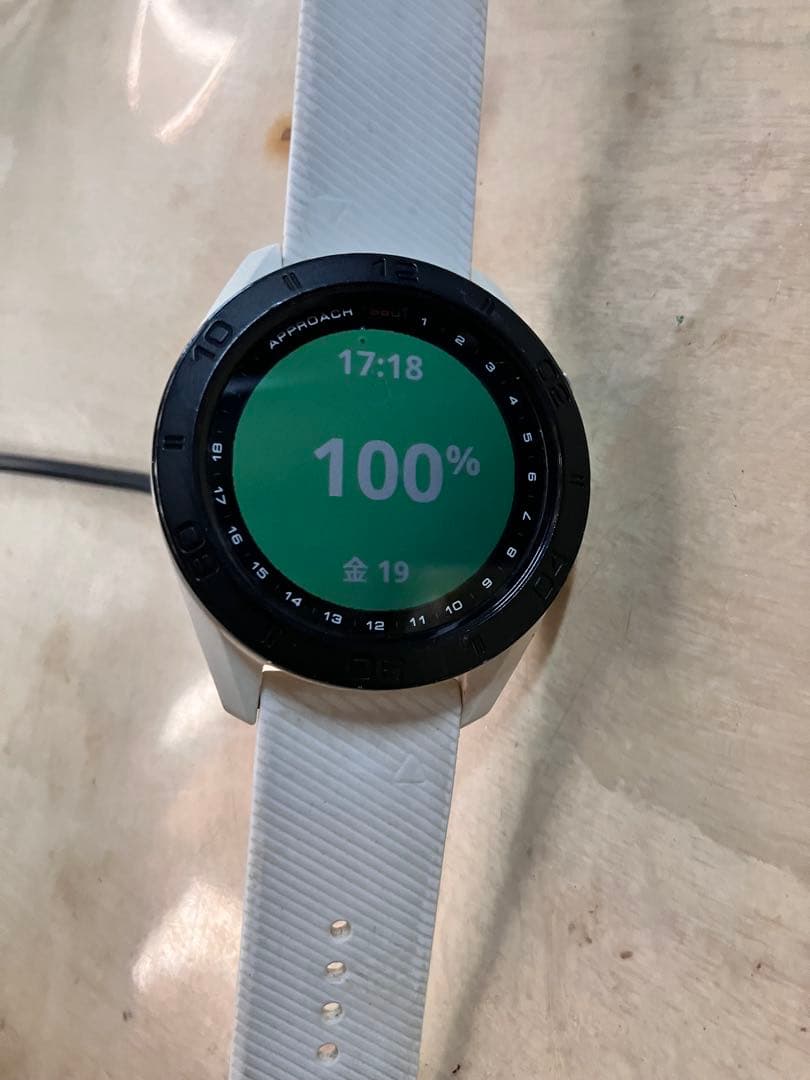 が*ん様 GARMIN gapproach s60