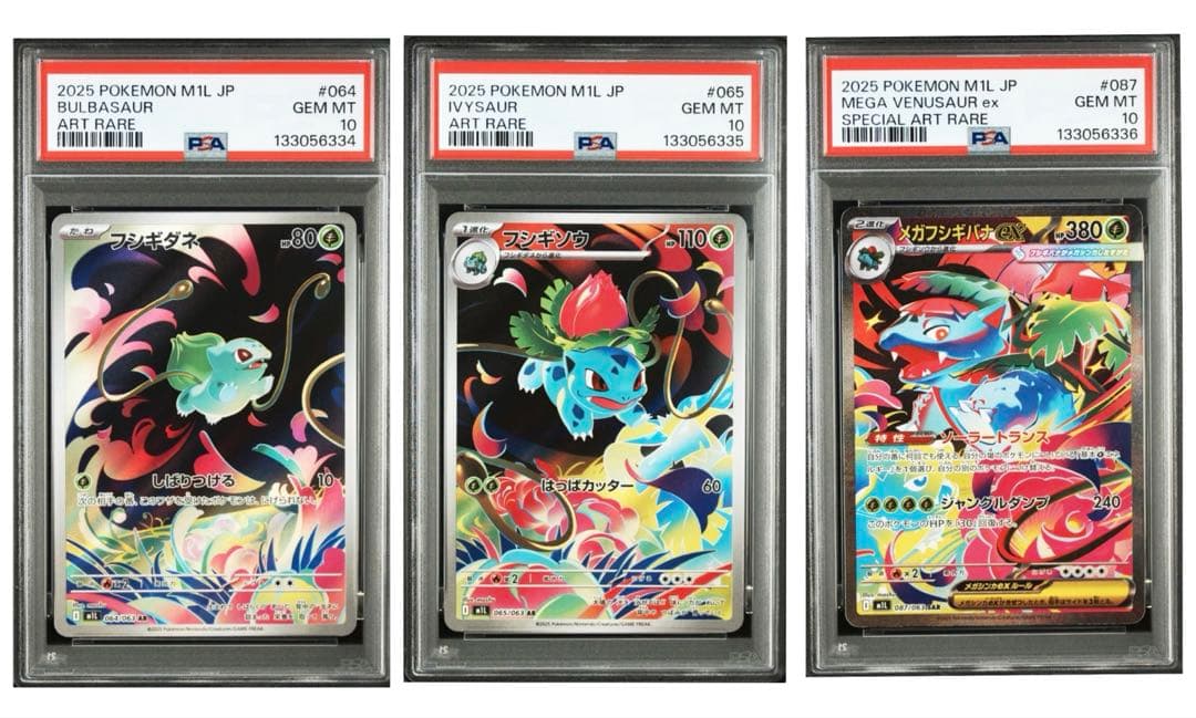 PSA10 フシギダネ フシギソウ メガフシギバナ3連番 ポケカ