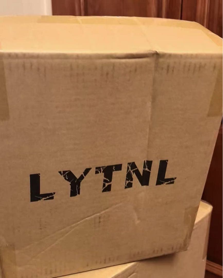 崩壊：スターレイル Beast ホタル フィギュア ガレージキット スタチュー