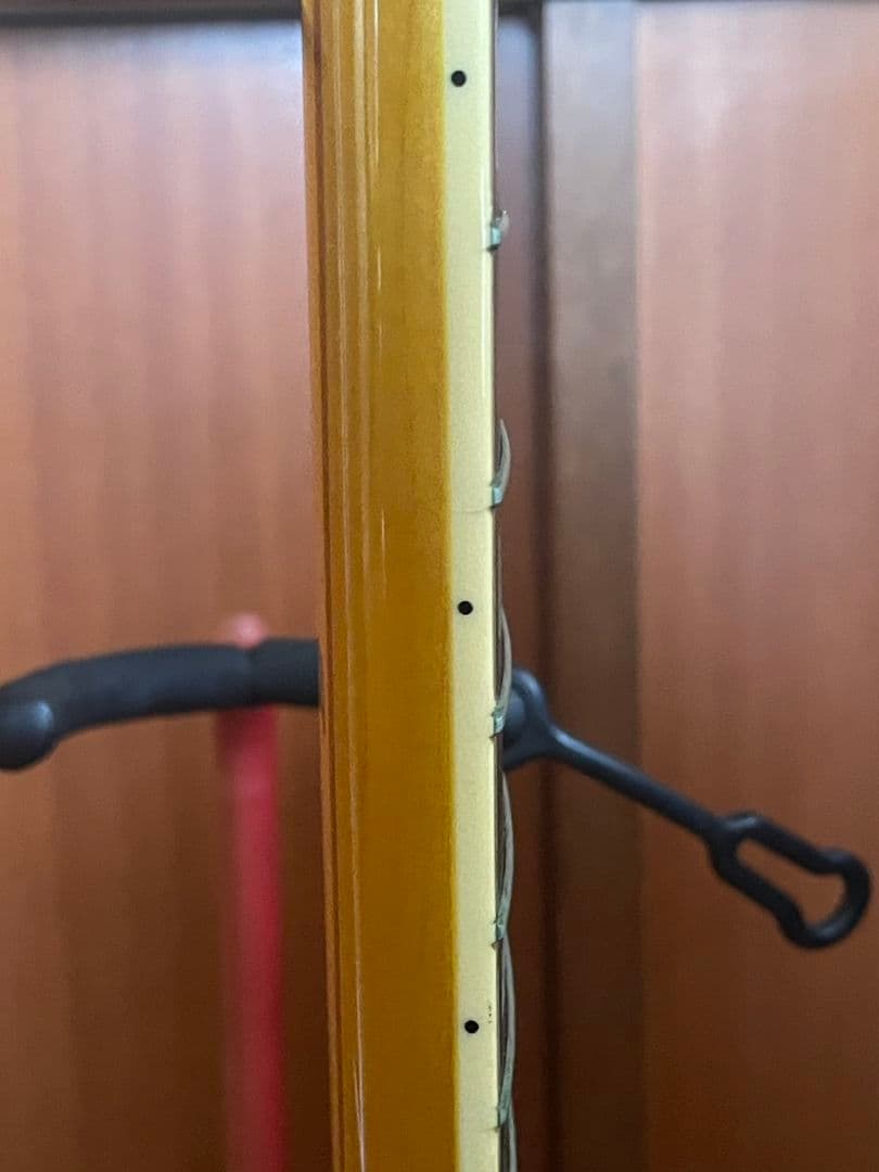 Epiphone　Sheraton II シェラトン