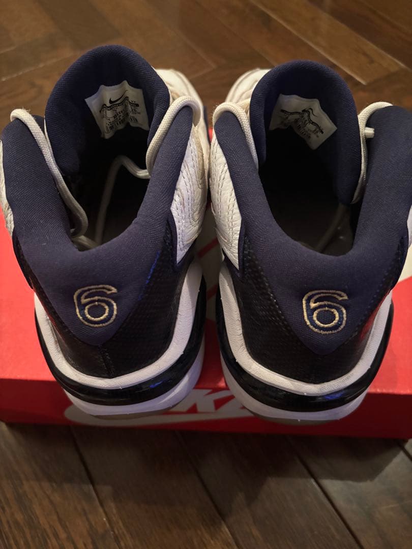 NIKE ナイキ エア ズームフライト96 884191-103 26cm