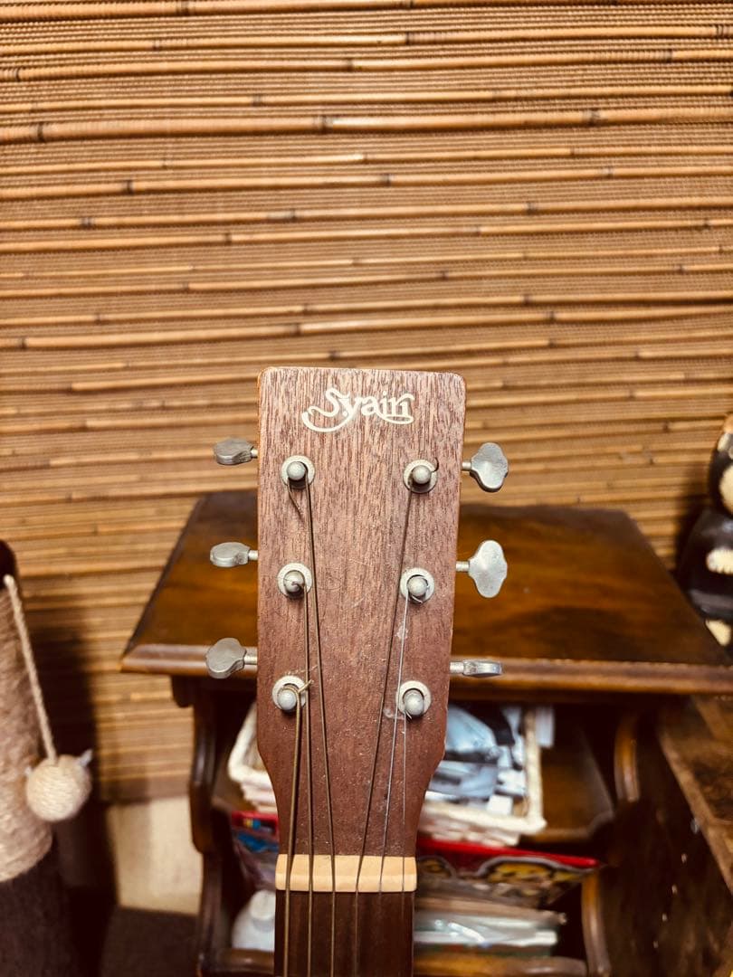 Sylan アコースティックギター 6弦 ⚠️新品の弦もついてきます