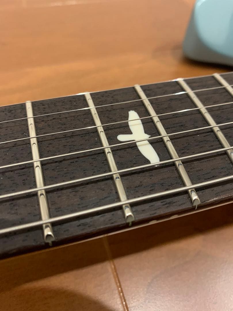 ギター Silver Sky Polar Blue 2021