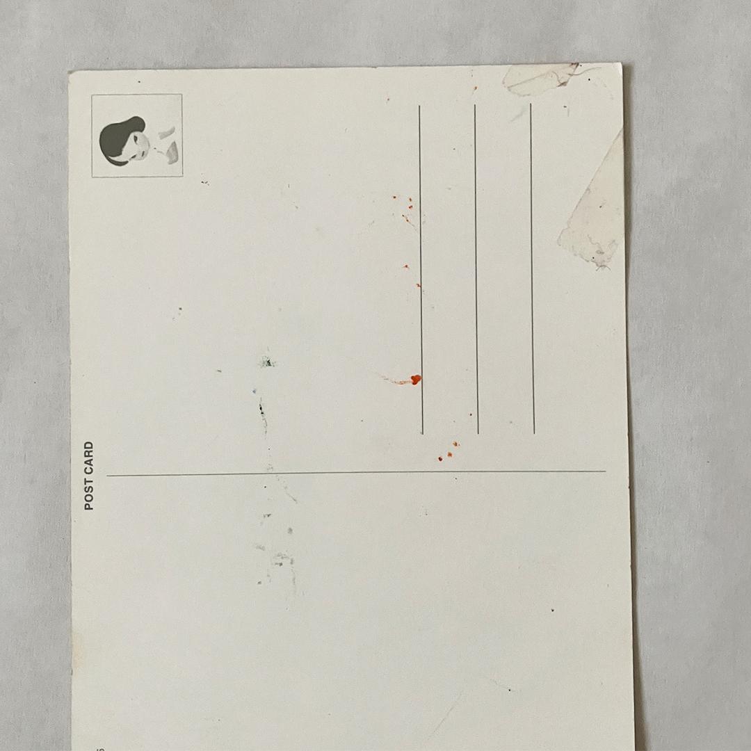 奈良美智 ポストカードセット Puddle Flowers 3冊セット