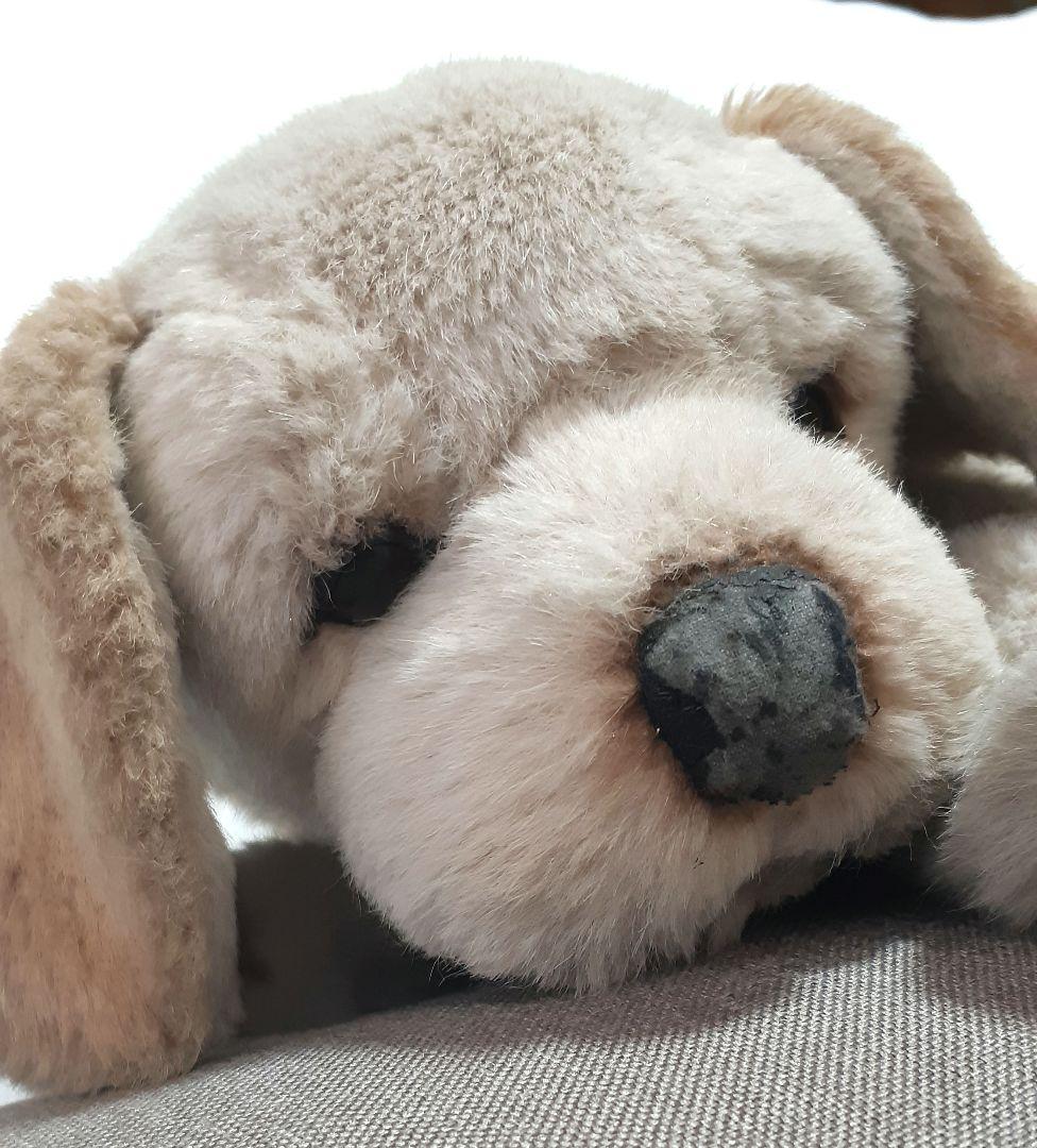 【美品】ジョックライン　JOCKLINE社　当時物　イタリア製　犬　ゴールデン