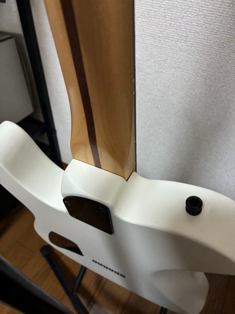 FenderMexicoテレキャスター jimRootモデルお値引きしました