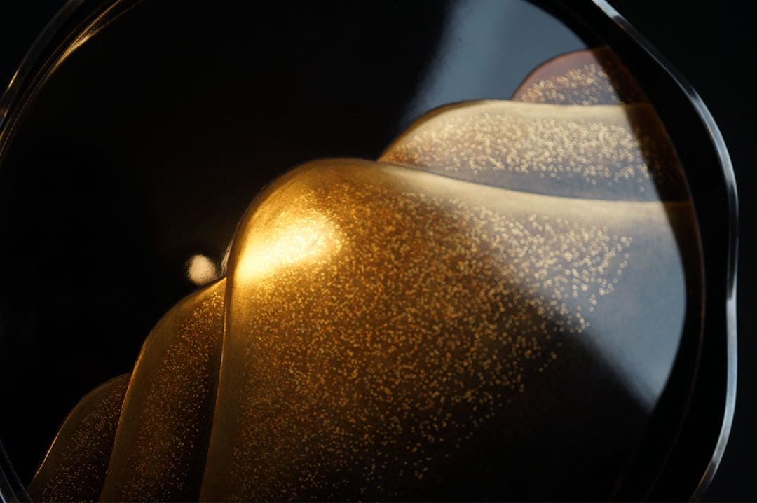 最上位作 加賀蒔絵 野村大仙 遠山若松蒔絵 丸三宝 梨地 共箱