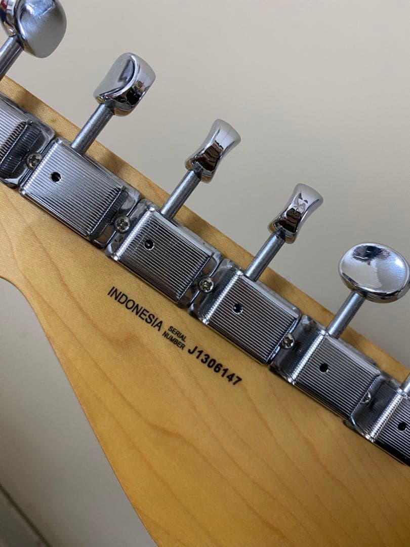 ESP Grassroots ピックガードギター GR-PGG