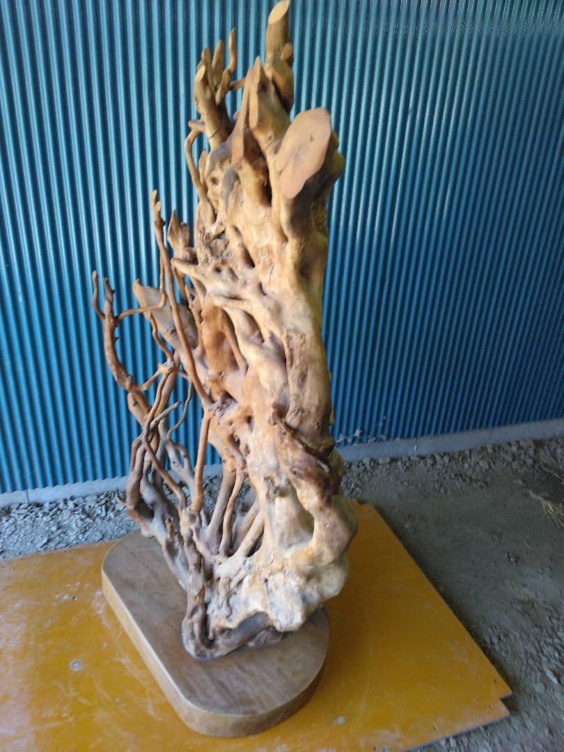 置物　衝立　オブジェ　天然木　木の根　 引き取り限定