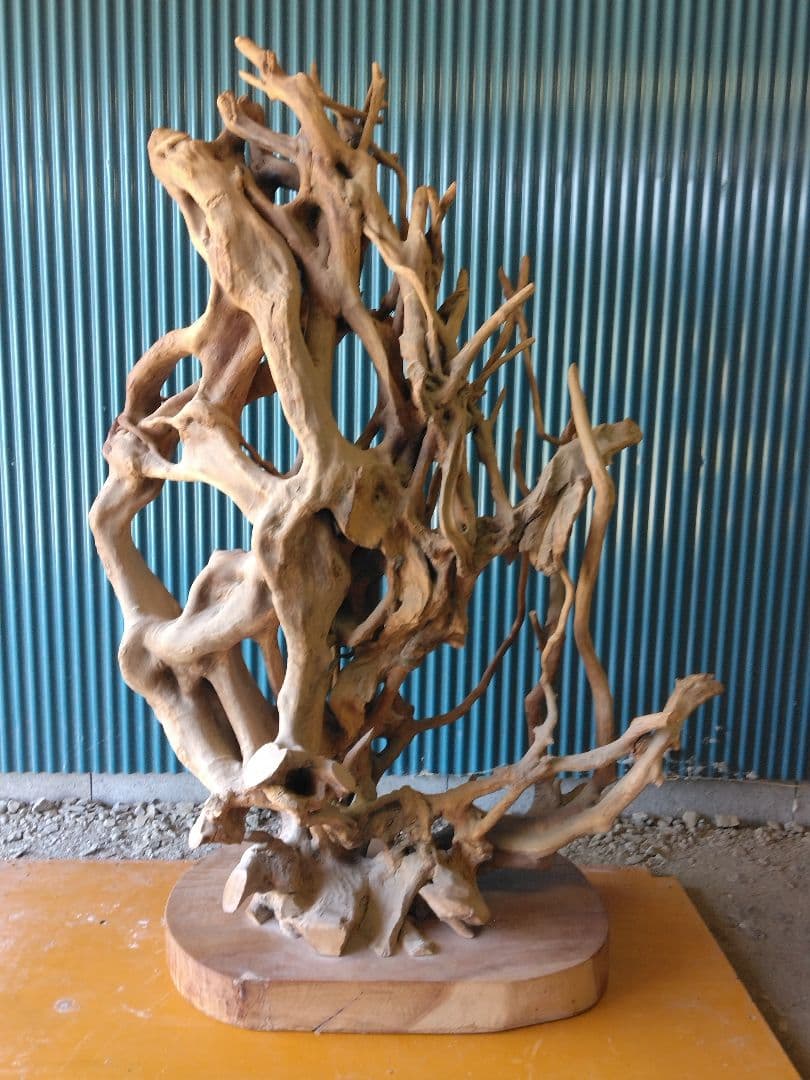 置物　衝立　オブジェ　天然木　木の根　 引き取り限定