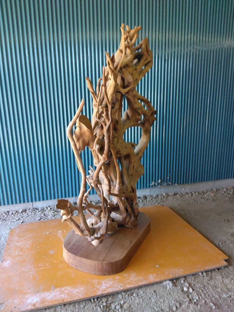 置物　衝立　オブジェ　天然木　木の根　 引き取り限定