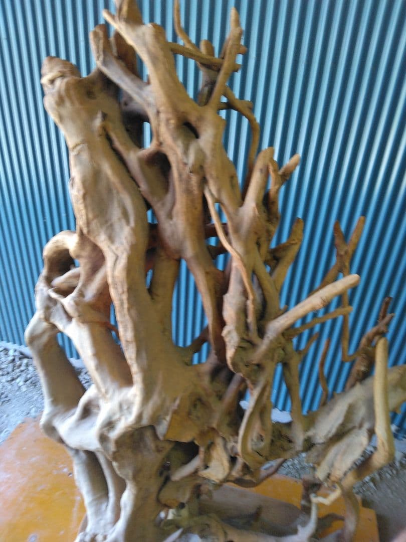 置物　衝立　オブジェ　天然木　木の根　 引き取り限定