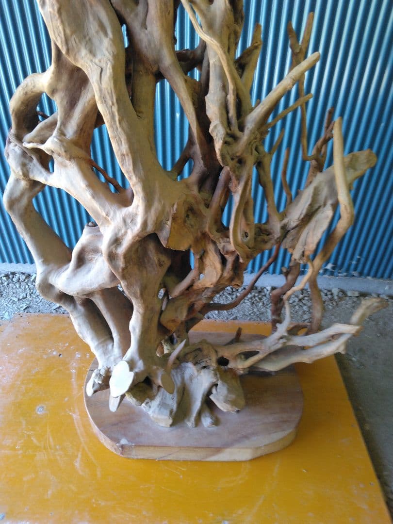 置物　衝立　オブジェ　天然木　木の根　 引き取り限定