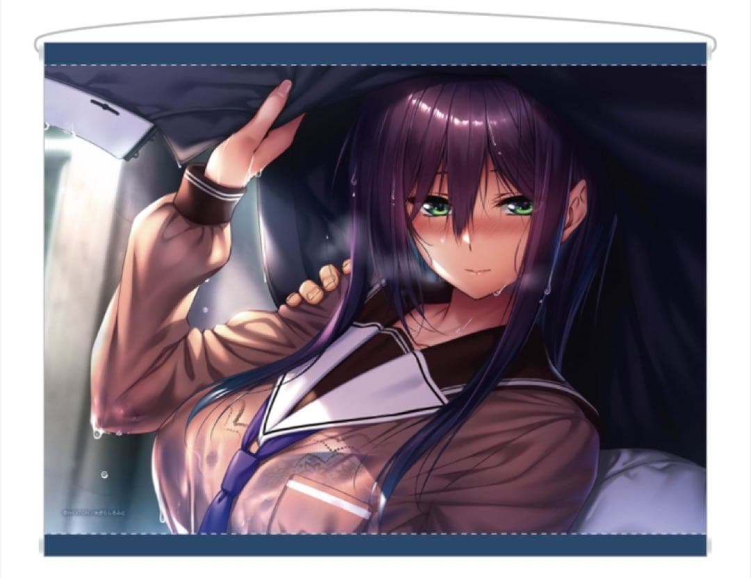 ピロ水　アマカノ アマカノ2 氷見山玲 メモリーズB2Wスエードタペストリー