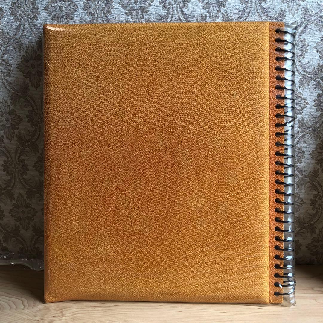 【希少】武者小路実篤　アルバム　未使用　昭和レトロ　当時物　ビンテージ　複製