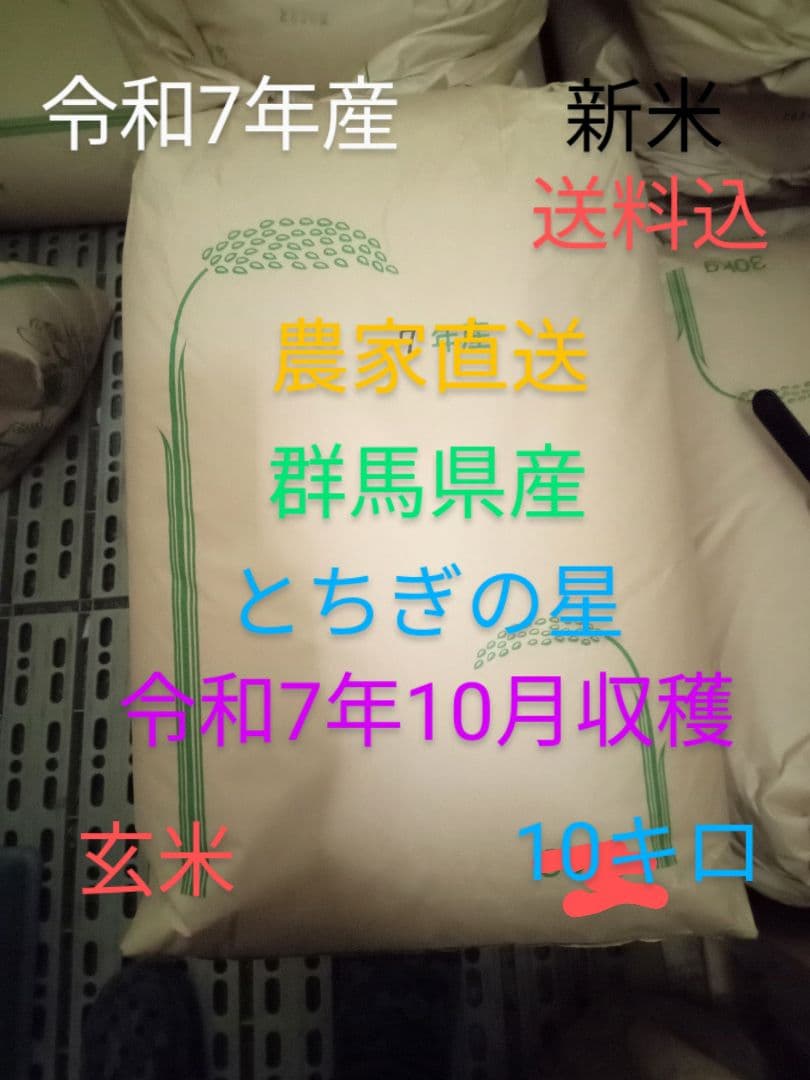 R7年産 新米 群馬県産 とちぎの星 10キロ 玄米 送料込 ②