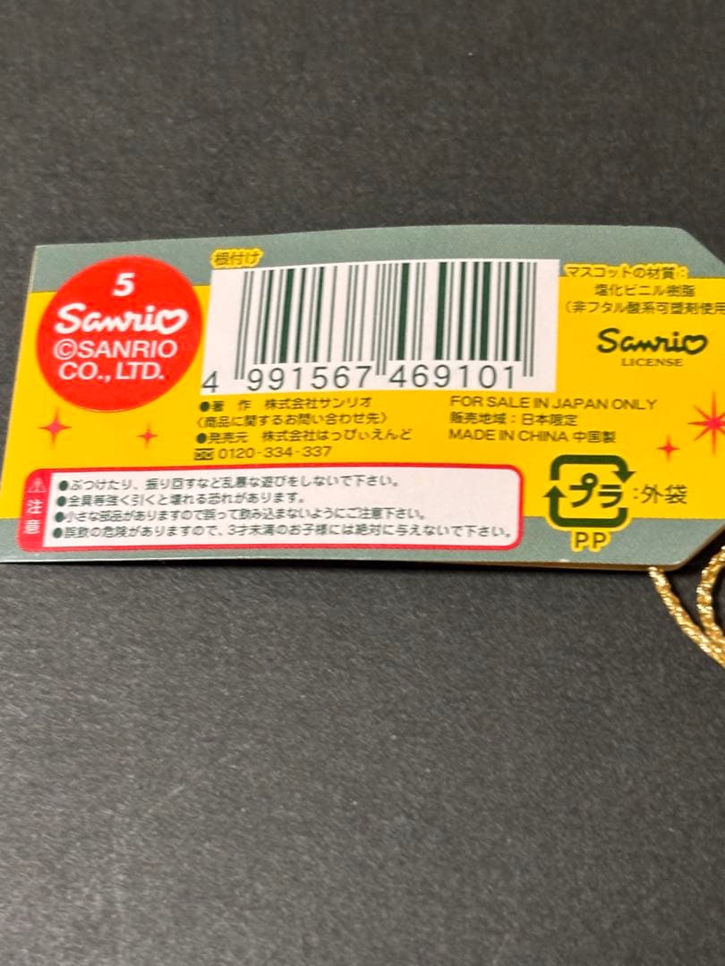 激レア❣️未使用未開封❗️ご当地キティ長野 ホテルグリーンプラザ白馬限定2004