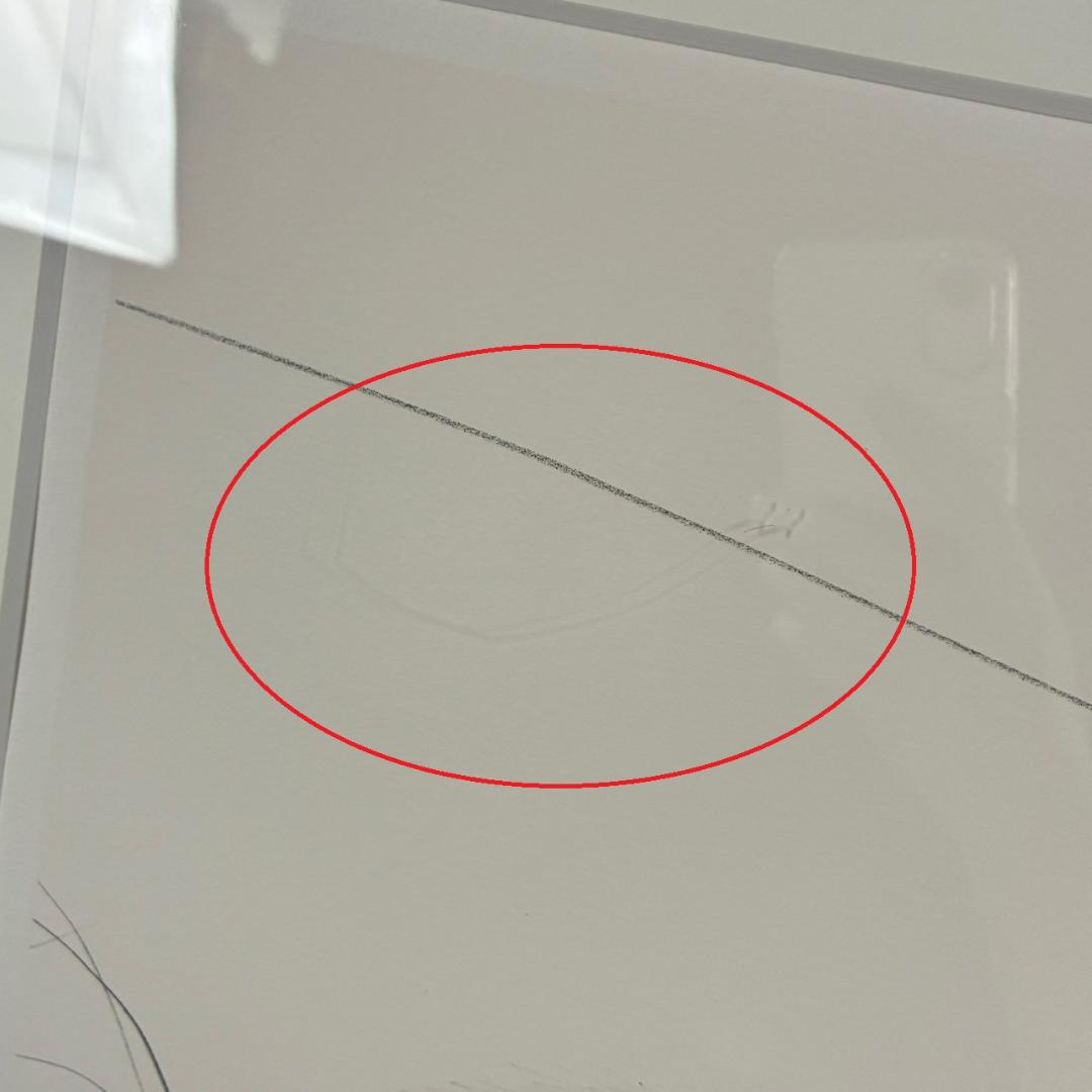 美品 天野喜孝「予感」リトグラフ 直筆サイン入 限定品 お洒落な額装 FF