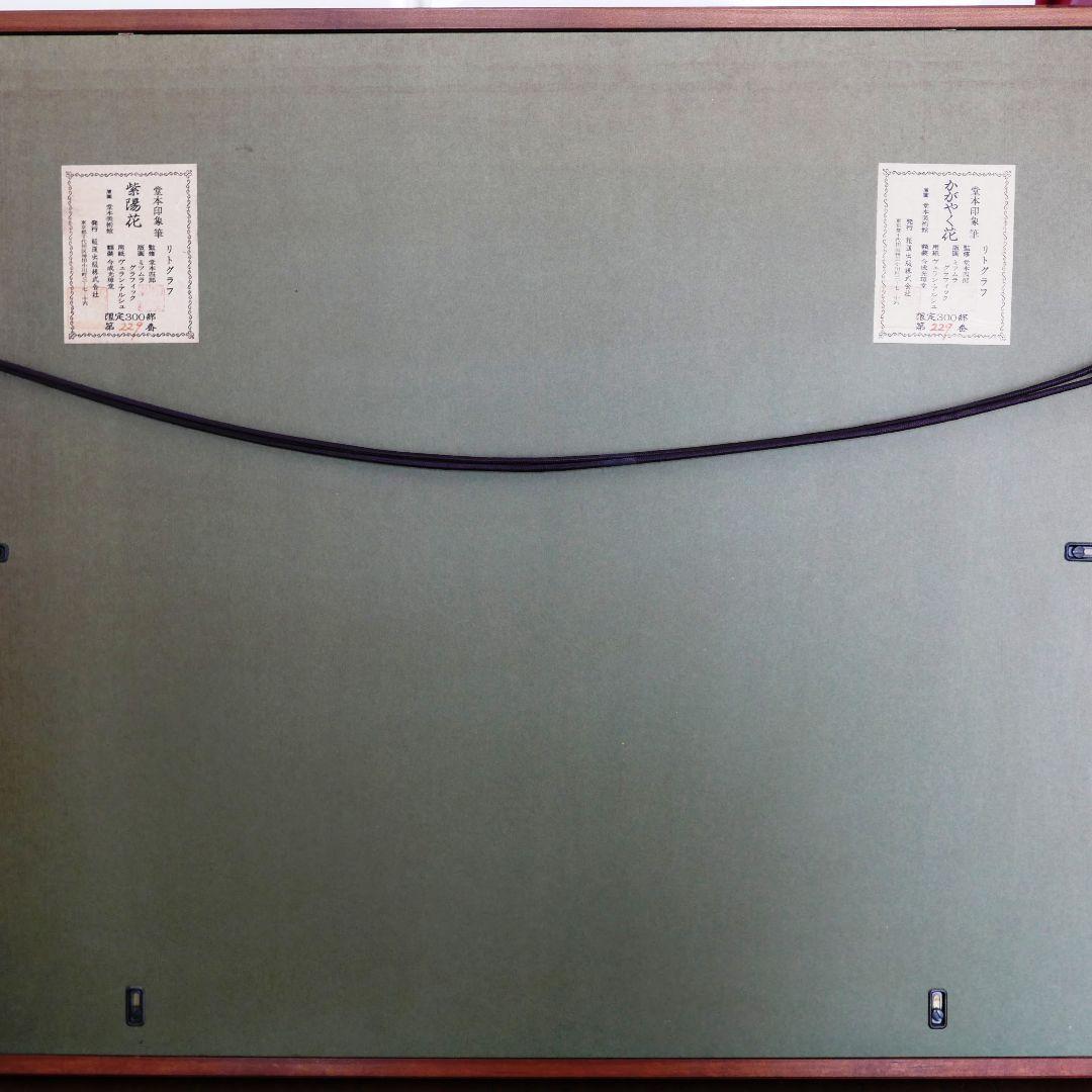 堂本印象「かがやく花」「紫陽花」リトグラフ２枚組