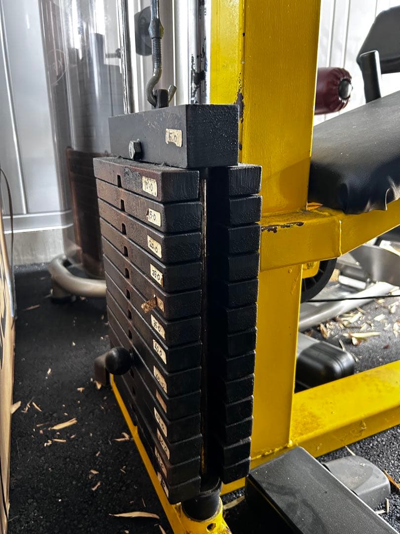 みなみさま ウエイト②