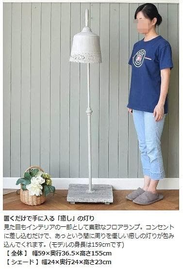 フランスより　浮かびあがる薔薇の模様　Coquecigruesのフロアランプ