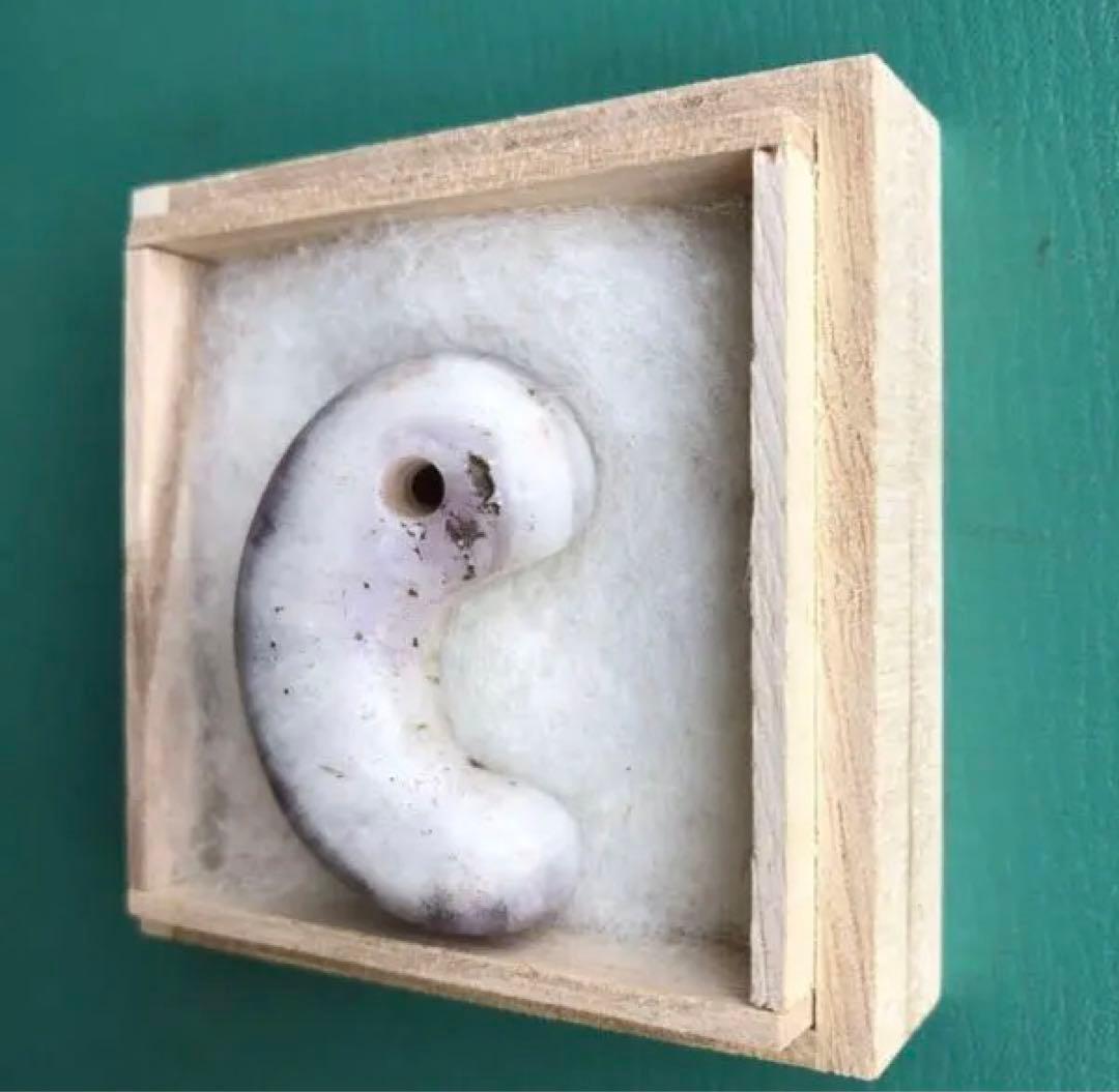 勾玉　（i）　箱付き