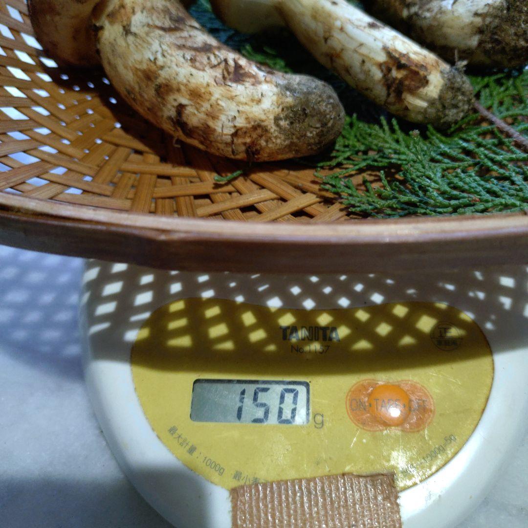 採れました　10/21 南信州産 松茸 150g 17:30まで