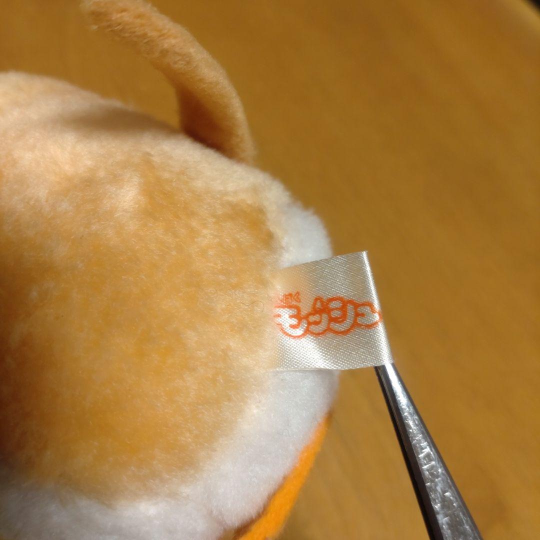 南の虹のルーシー　わんぱくモッシュ