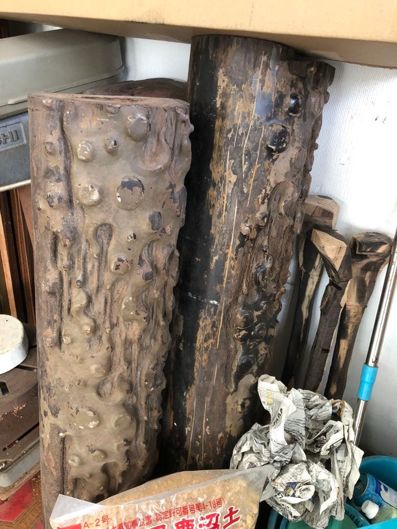 沖縄三線上質クルチ真壁型本皮一枚張りスンチ塗り期間限定