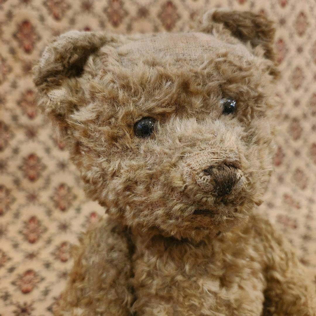 英国 イギリス アンティーク 静かな表情 テディベア こぐま 西洋骨董