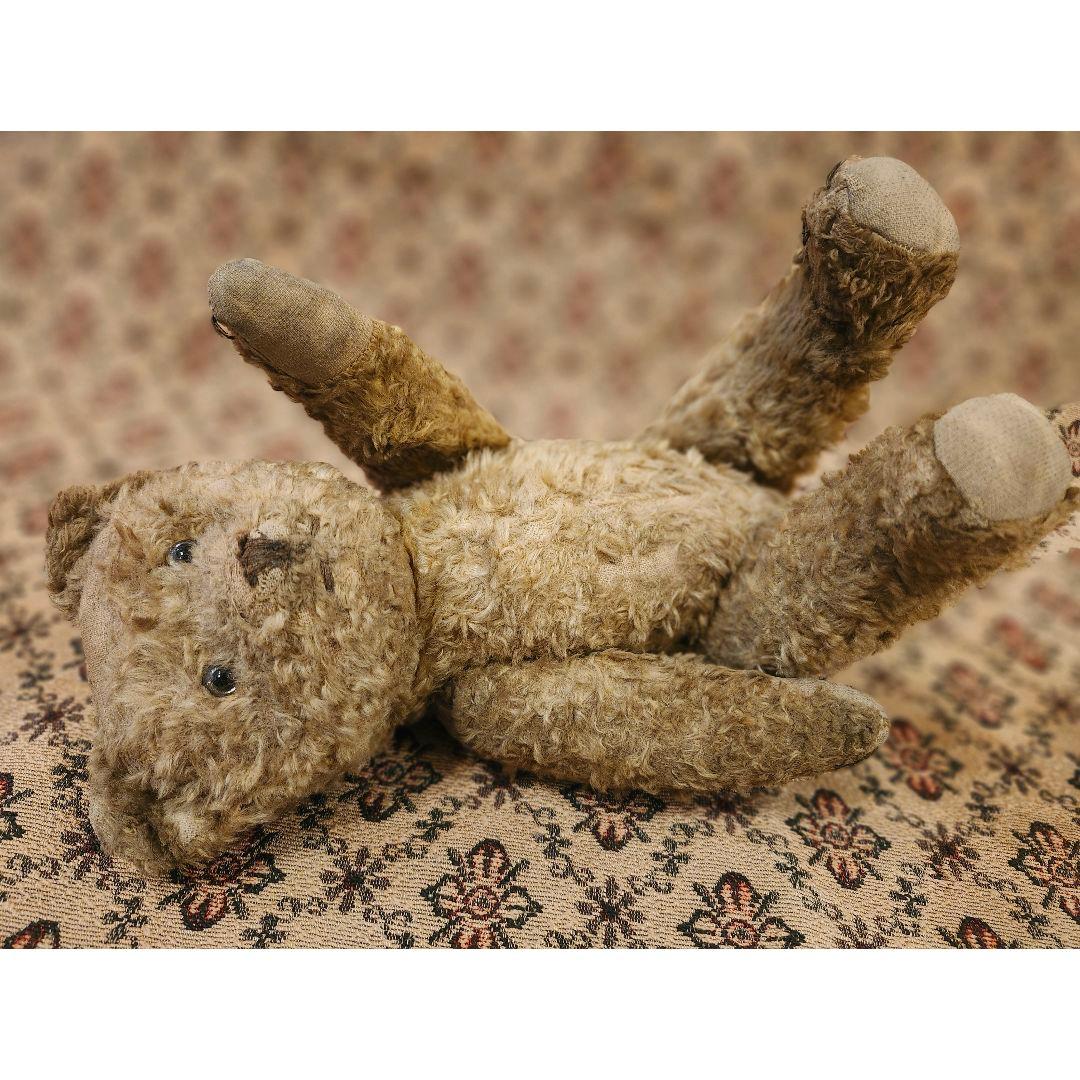 英国 イギリス アンティーク 静かな表情 テディベア こぐま 西洋骨董