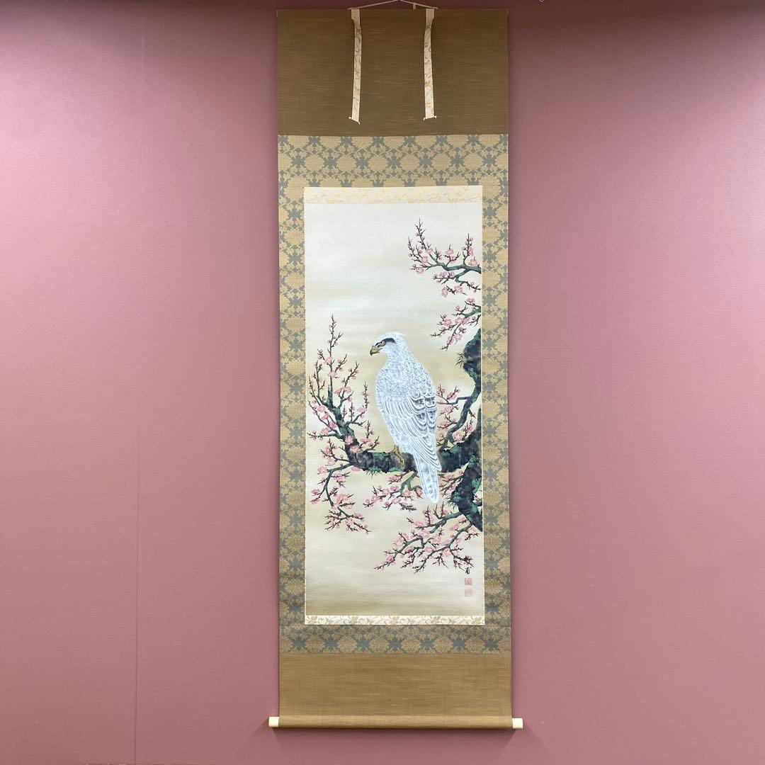 美品 掛け軸 国井柳甫作 金地 鷹に梅図 共箱 太巻き付 縁起物 厄除け