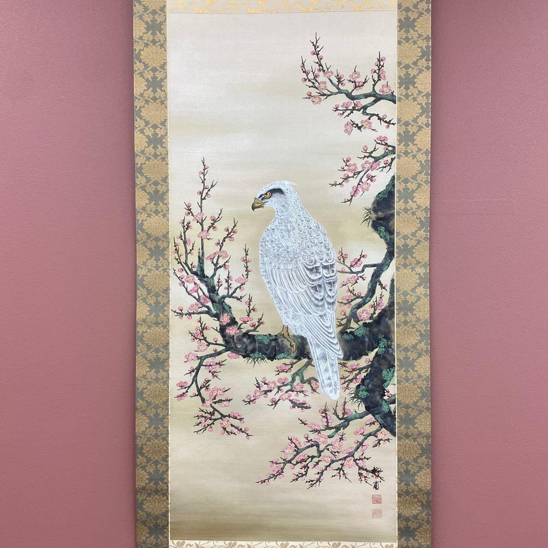 美品 掛け軸 国井柳甫作 金地 鷹に梅図 共箱 太巻き付 縁起物 厄除け