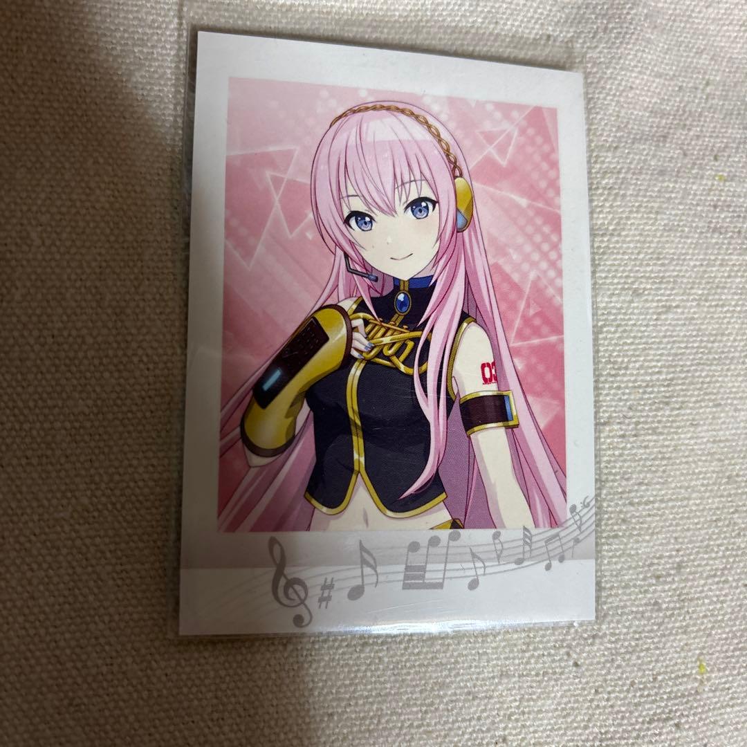 プロセカ 巡音ルカ ぱしゃこれ 缶バ 色紙 5点セット