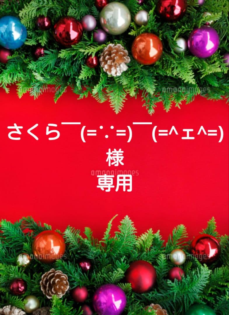 さくら￣(=∵=)￣(=^ェ^=)