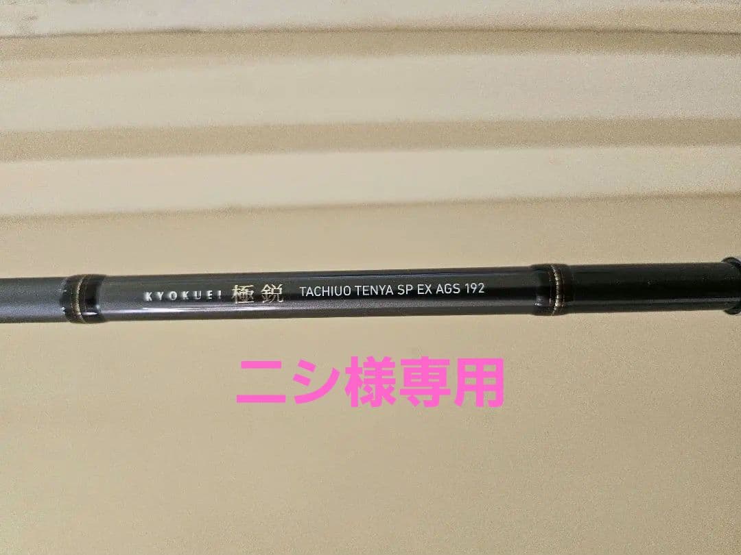 DAIWA 極鋭タチウオテンヤ EX AGS192