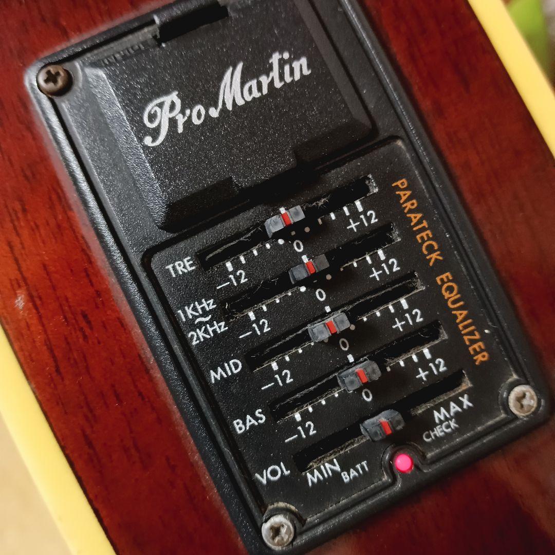 新品弦 メンテ済み PROMARTIN プロマーティン エレアコ ギター アコギ