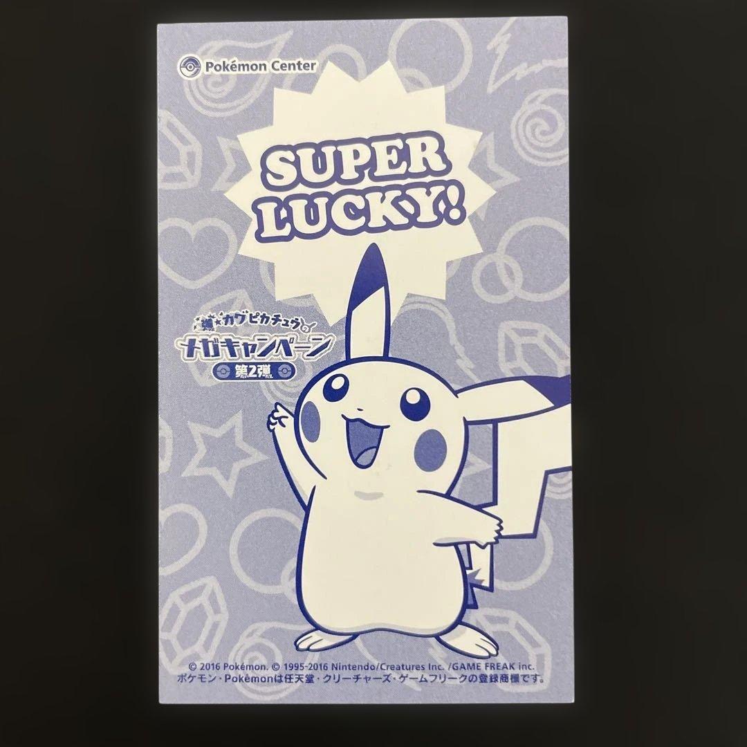 ポンチョを着たピカチュウ　名刺カード　メガレックウザ　カードファイルセット