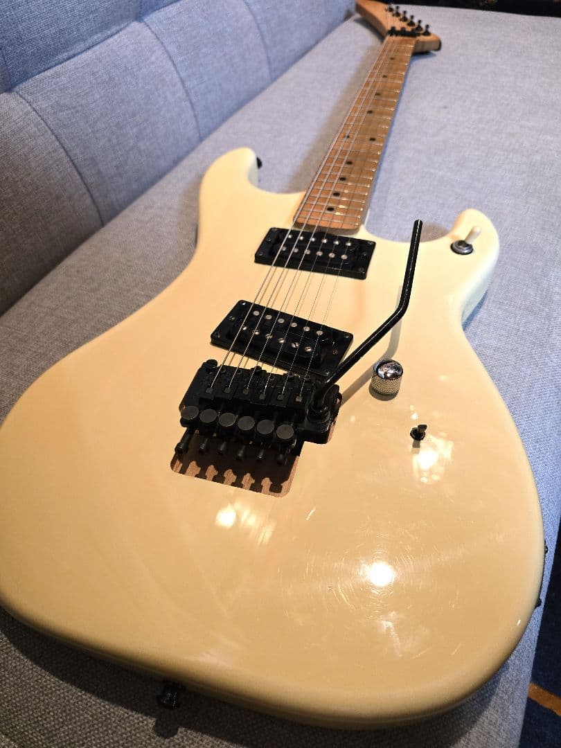 ESP カスタムオーダー エレキギター