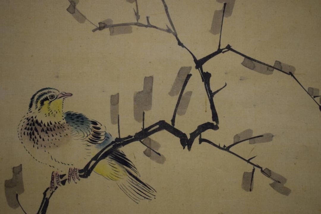 真作/山本梅逸/四季草花小禽図/桐太巻箱付/布袋屋掛軸HH-861