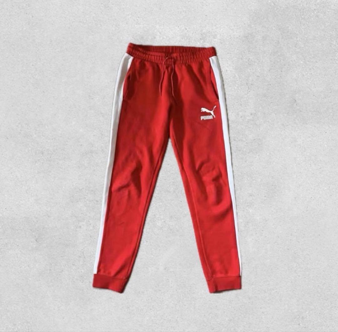 PUMA セットアップ