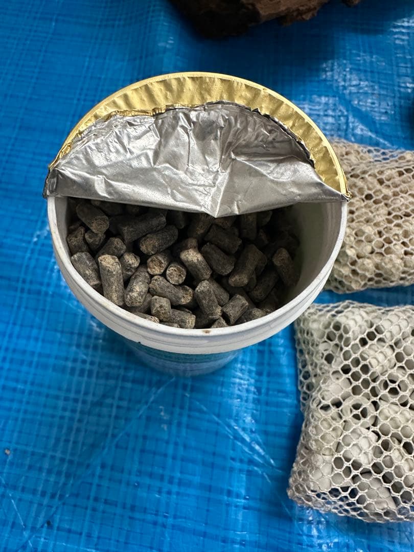 KOTOBUKI 25㎝キューブ水槽飼育セット