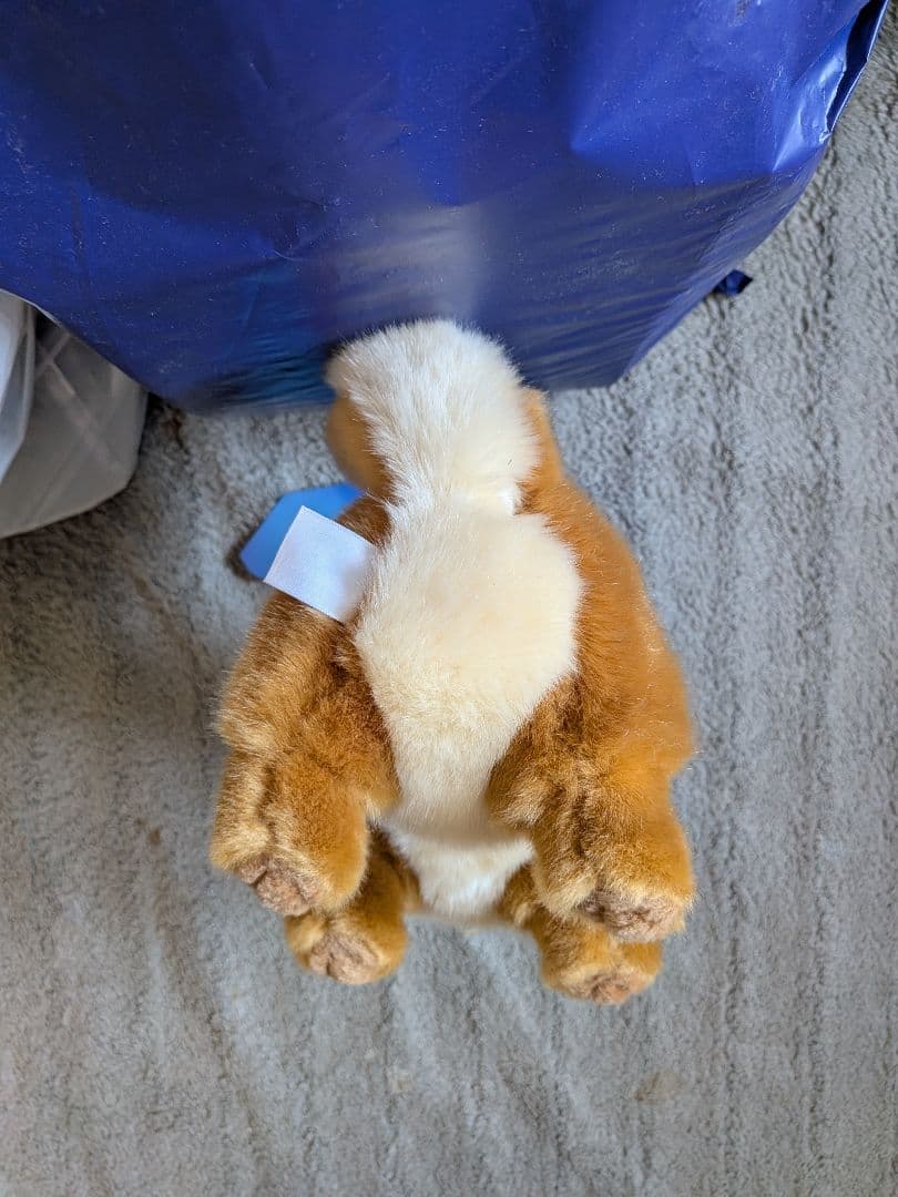 ((激レア))櫻坂46 しかくに