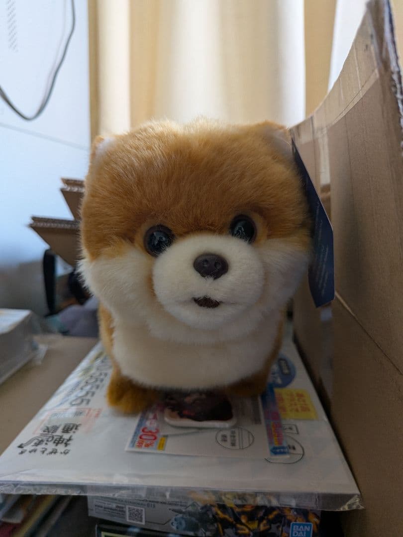 ((激レア))櫻坂46 しかくに